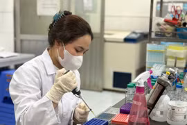 Học viên Nguyễn Nhật Ly thực hiện thí nghiệm tại Trường Đại học Khoa học Tự nhiên. (Ảnh: Phạm Mai/Vietnam+)