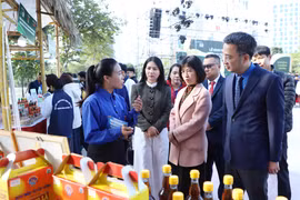 Ảnh minh họa. (Ảnh: PV/Vietnam+)