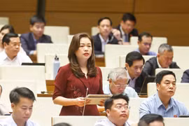 Đại biểu Đoàn Thị Lê An. (Ảnh: Doãn Tấn/TTXVN)