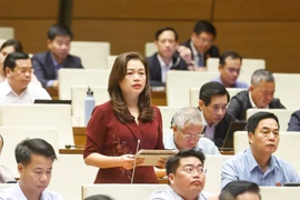 Đại biểu Đoàn Thị Lê An. (Ảnh: Doãn Tấn/TTXVN)