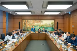 Các đại biểu Quốc hội thảo luận tại tổ Hà Nội. (Ảnh: PV/Vietnam+)