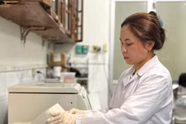 Việc được cấp học bổng sẽ giúp các sinh viên, học viên giảm áp lực tài chính, chuyên tâm hơn cho học tập và nghiên cứu. (Ảnh: Phạm Mai/Vietnam+)