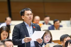 Đại biểu Dương Khắc Mai phát biểu. (Ảnh: Doãn Tấn/TTXVN)