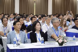 Các chuyên gia trong nước và quốc tế tham gia hội thảo. (Ảnh: PV/Vietnam+)