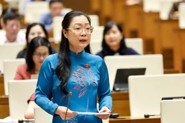 Bà Nguyễn Thị Quyên Thanh phát biểu tại nghị trường Quốc hội. (Ảnh: Doãn Tấn/TTXVN)