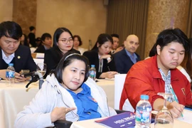 Sự kiện nhằm chăm lo cho cộng đồng người khuyết tật Việt Nam. (Ảnh: PV/Vietnam+)