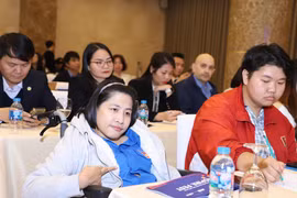 Sự kiện nhằm chăm lo cho cộng đồng người khuyết tật Việt Nam. (Ảnh: PV/Vietnam+)