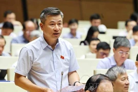 Ông Nguyễn Phi Thường. (Ảnh: TTXVN)