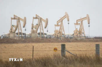 Giàn khoan dầu tại Texas (Mỹ). (Ảnh: THX/TTXVN)