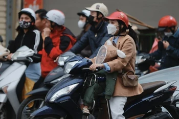 Ảnh minh họa. (Nguồn: TTXVN)