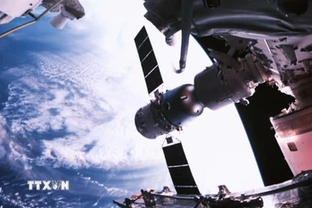 Ảnh chỉ mang tính minh họa. (Ảnh: THX/TTXVN)