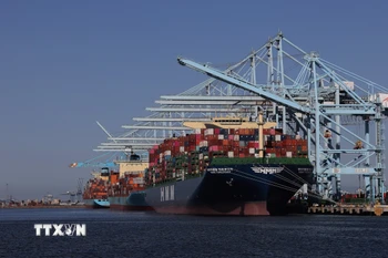 Tàu chở hàng hóa neo tại cảng Los Angeles, California (Mỹ). (Ảnh: THX/TTXVN)