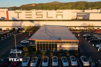 Nhà máy của công ty Tesla tại Fremont, California (Mỹ). (Ảnh: AFP/TTXVN)