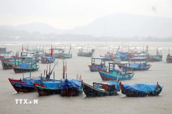 Ảnh minh họa. (Ảnh: Công Tường/TTXVN)