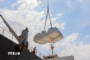 Việt Nam đã có mặt trong nhóm các nước xuất khẩu gạo sang Israel, song thị phần vẫn còn khá khiêm tốn, chỉ chiếm khoảng 2,2% đến 3% tổng lượng gạo nhập khẩu. (Ảnh: Công Mạo/TTXVN)