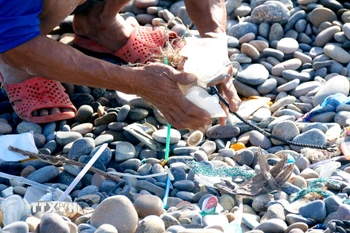 Ông Chín Tục vẫn ngày ngày thầm lặng nhặt rác ở bãi đã bảy màu. (Ảnh: Hồng Hiếu/TTXVN)