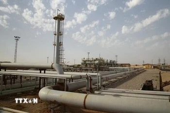 Ảnh minh họa. (Ảnh: IRNA/TTXVN)