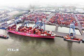 Container hàng hóa tại Cảng Quốc tế Tân Cảng-Cái Mép. (Ảnh: Vũ Sinh/TTXVN)