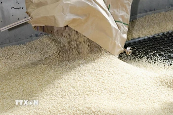 (Ảnh: Kyodo/TTXVN)