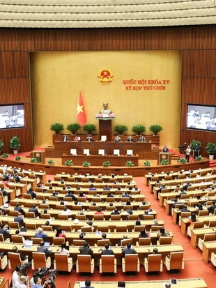 Xây dựng thể chế, giám sát