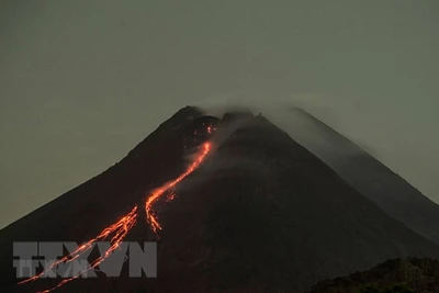 Ảnh minh họa. (Nguồn: AFP/TTXVN)