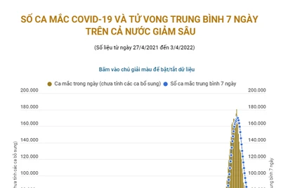 Số ca mắc COVID-19 và tử vong trung bình 7 ngày trên cả nước giảm sâu