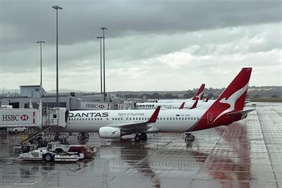 Hãng hàng không Qantas sa thải bất hợp pháp 1.700 nhân viên mặt đất | Việt Nam+ (Việt NamPlus)