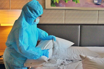 (Ảnh: Mỹ Phương/TTXVN)