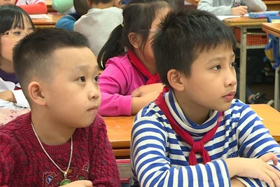 (Ảnh minh họa: PV/Vietnam+)