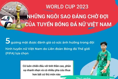 Bóng đá Việt Nam trở lại với loạt sự kiện quốc tế quan trọng trong năm 2025