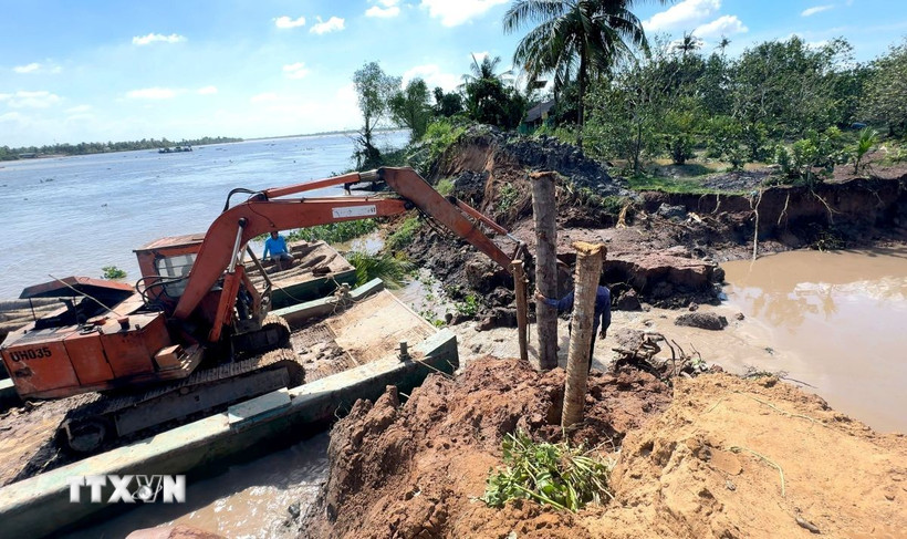 Sử dụng phương tiện cơ giới gia cố đoạn đê bao. (Ảnh: Lê Thúy Hằng/TTXVN) 