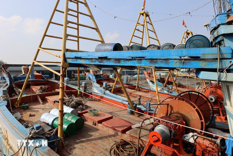 Tàu không đủ điều kiện sẽ không cho ra khơi xuất bến. (Ảnh: Hoàng Nhị/TTXVN)