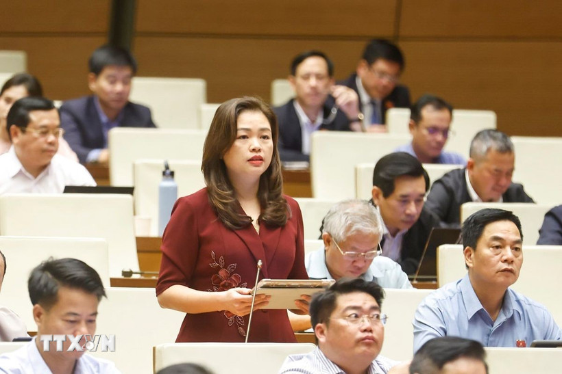 Đại biểu Quốc hội tỉnh Cao Bằng Đoàn Thị Lê An phát biểu. (Ảnh: Doãn Tấn/TTXVN)