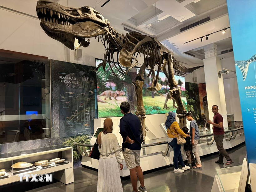 Ảnh minh họa. (TTXVN phát)