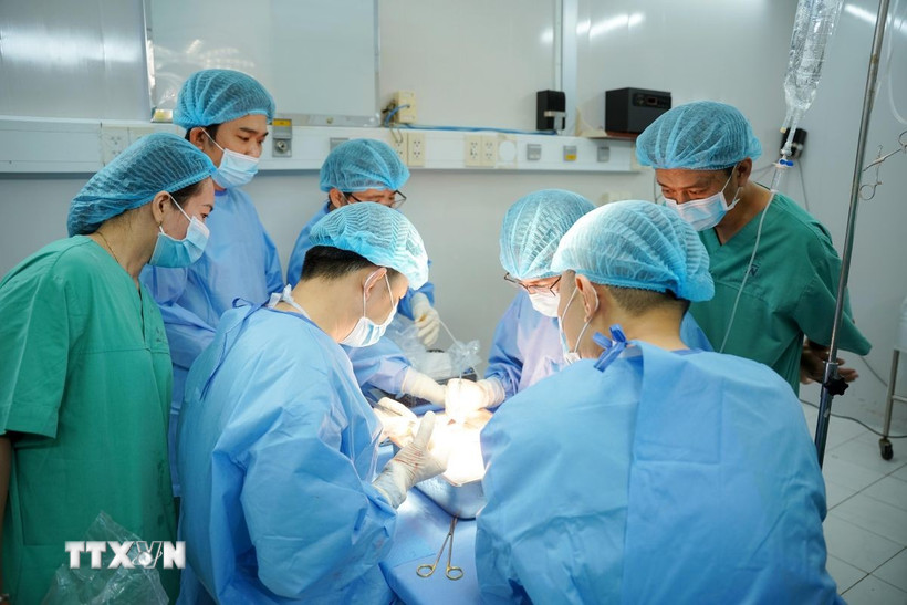 Các bác sỹ thực hiện lấy tạng của người hiến tại Bệnh viện Thống Nhất Thành phố Hồ Chí Minh. (Ảnh: TTXVN phát)