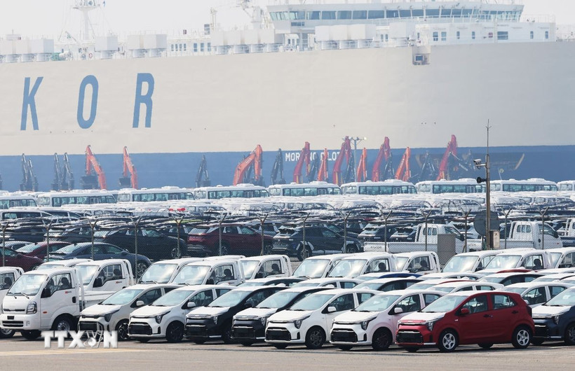 Ôtô chờ xuất khẩu tại cảng Pyeongtaek, Hàn Quốc ngày 2/4/2025. (Ảnh: Yonhap/TTXVN)