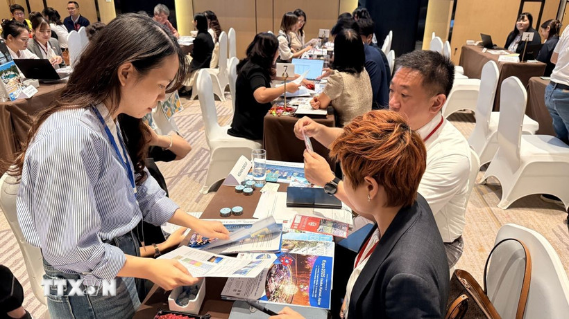 Doanh nghiệp lữ hành, du lịch Việt Nam-Nhật Bản trực tiếp gặp gỡ, trao đổi thông tin du lịch. (Ảnh: Ngọc Bích/TTXVN)