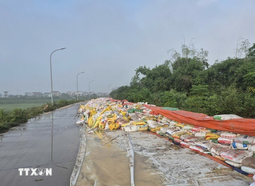 Gia cố đê tại Bắc Ninh. (Ảnh: TTXVN phát)