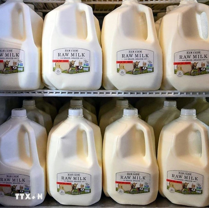 Ảnh minh họa. (Ảnh: AP/TTXVN)