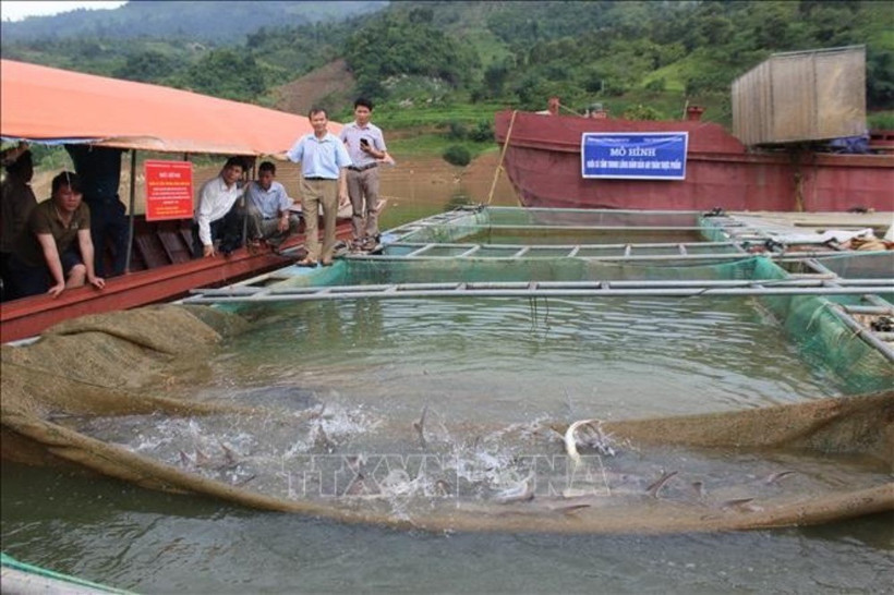 Hội cá nước lạnh tỉnh Lào Cai về việc đề nghị kiểm soát sản lượng cá tầm nhập khẩu vào Việt Nam.