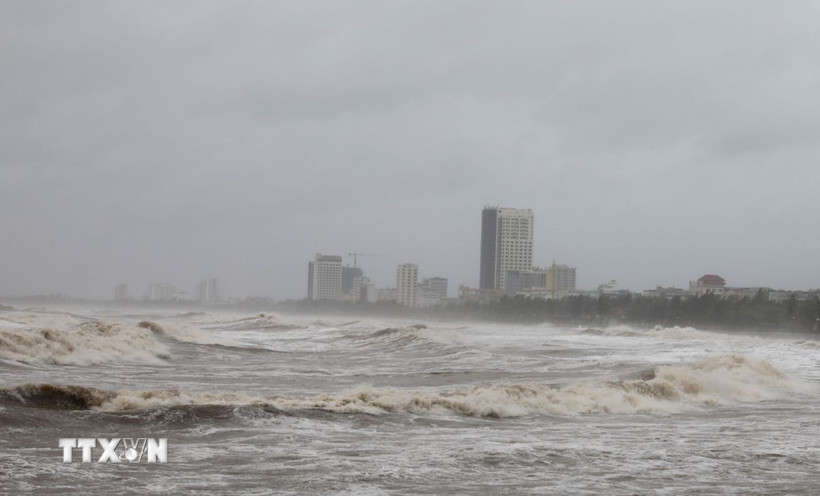 Sóng biển dữ dội ở vùng biển Cửa Lò (Nghệ An) trước thời khắc bão số 10 đổ bộ. (Ảnh: Văn Tý/TTXVN) 