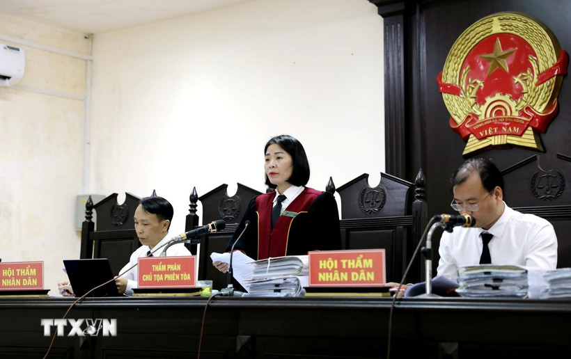 Thẩm phán Đỗ Thị Hà, Chủ tọa phiên tòa. (Ảnh: Thế Duyệt/TTXVN)