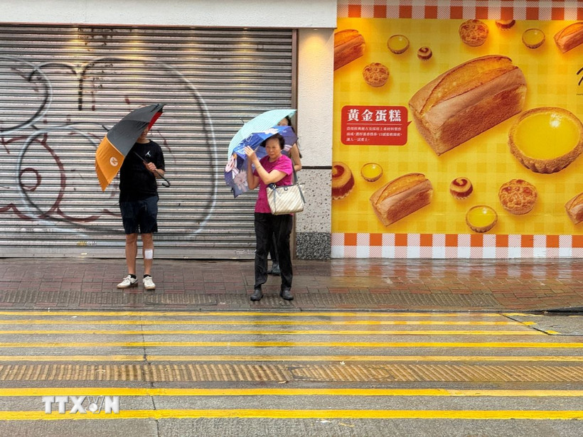 Hiện, Cơ quan khí tượng thủy văn Hong Kong hạ mức cảnh báo bão Wipha từ cấp 10 xuống cấp 8. (Ảnh: Mạc Luyện/TTXVN)