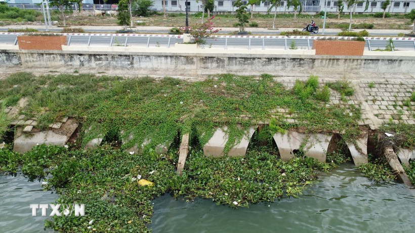 Một đoạn kè Thường Thới Tiền (huyện Hồng Ngự) bị sạt lở gây hư hỏng toàn bộ phần chân kè và một phần mái kè. (Ảnh: Nhựt An/TTXVN)