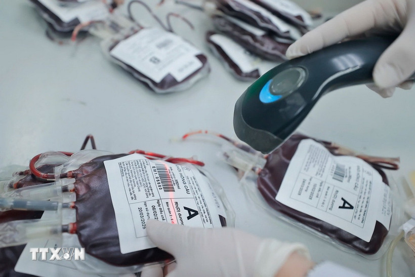 (Ảnh minh họa. Nguồn: TTXVN)