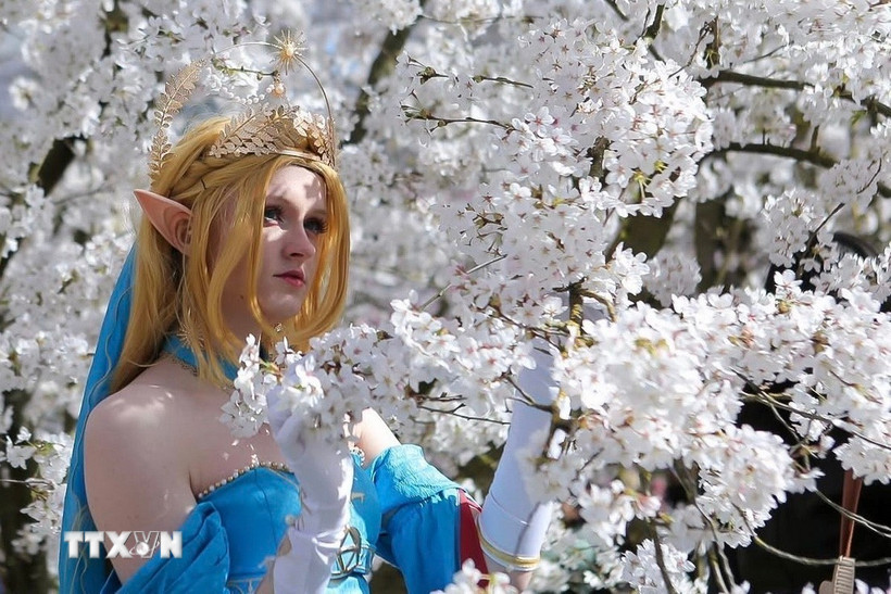 Rực rỡ với Anh đào trắng trong "Vườn Thế giới" ở Berlin (Ảnh: Phương Hoa/TTXVN)