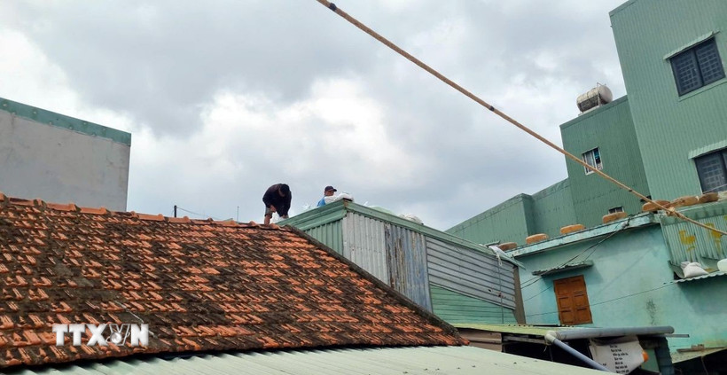 Người dân chủ động chèn, chắn mái nhà để ứng phó với bão số 15. (Ảnh: Quang Thái/TTXVN)