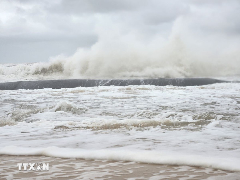 Ảnh minh họa. (Ảnh: Mai Trang/TTXVN)