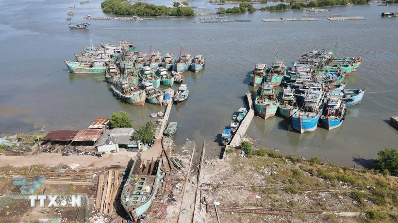 Tàu không đủ điều kiện được xã Phước Hải bố trí neo đậu tại ụ tàu Lứa Bạn cắt cử Ban điều hành ấp trông coi để quản lý chặt chẽ không cho ra khơi xuất bến. (Ảnh: Hoàng Nhị/TTXVN) 