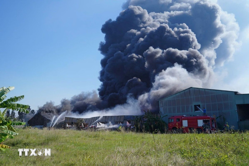 Đám cháy bùng phát và lan rộng ra trên diện tích khoảng 1.000 m2. (Ảnh: TTXVN phát)